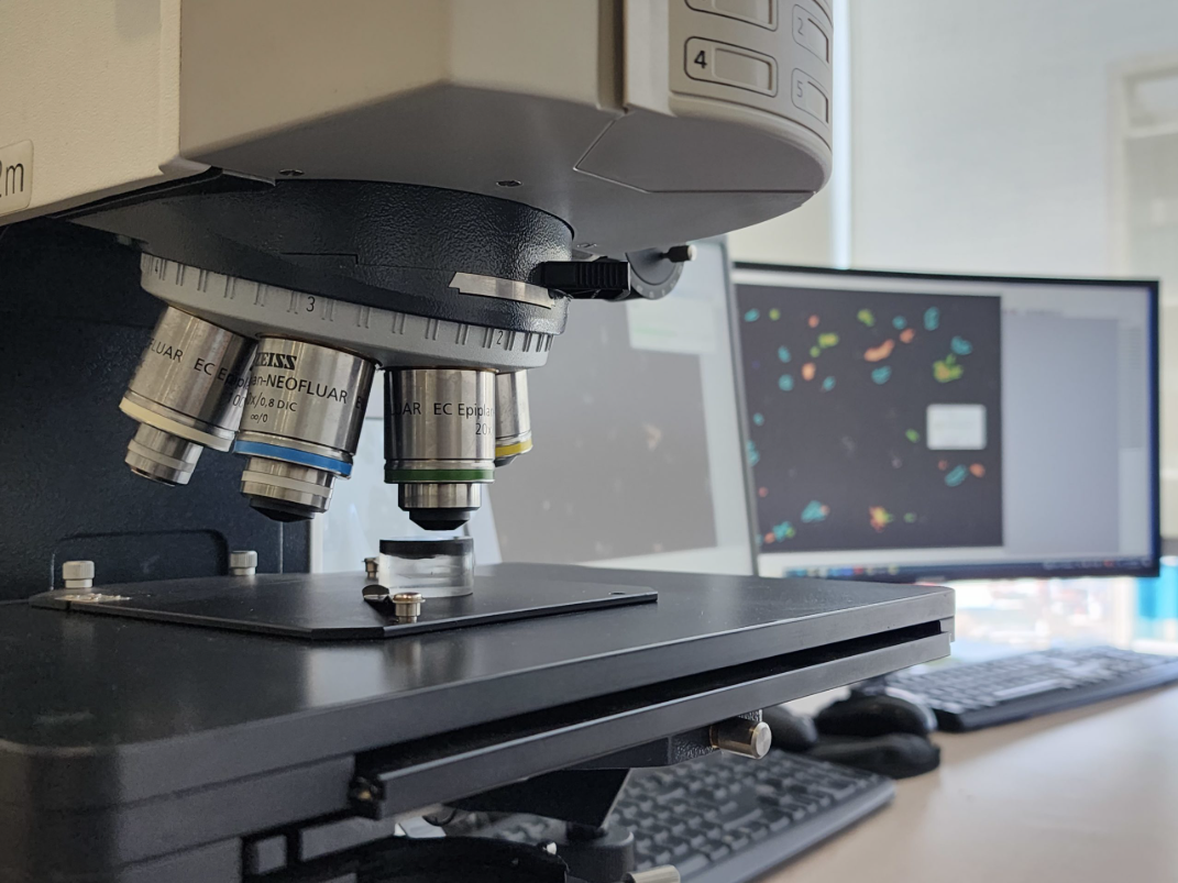 MICROSCOPIA OPTICA CON IA